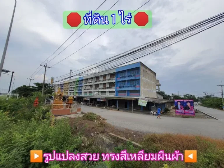 ขายถูก ที่ดินบัวปากท่า 1 ไร่ 13 ลบถมไว้แล้วทั้งแปลงเหมาะสร้างบ้าน อบางเลน