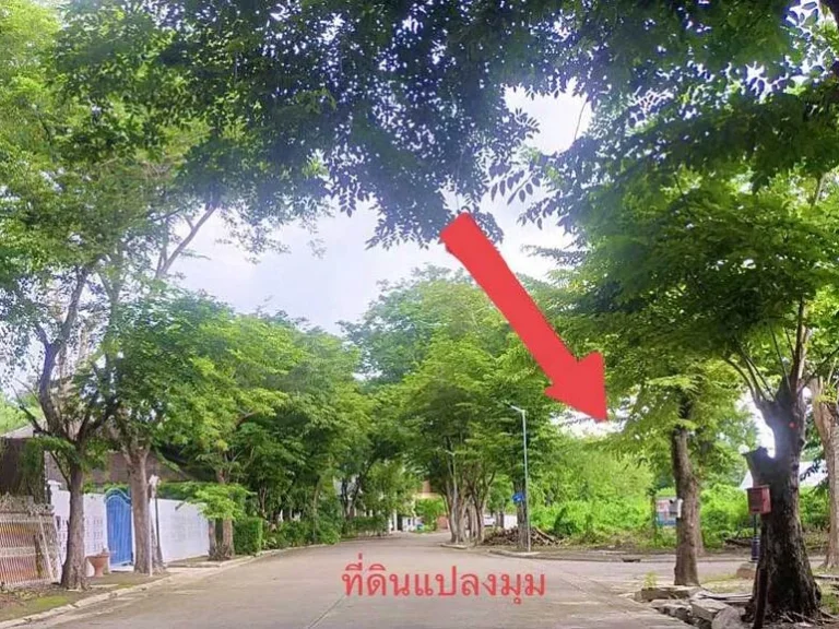 ขายที่ดินติดน้ำ หมู่บ้านไม้อิงธาร บางกรวย ใกล้มหิดล ศาลายา 3 งาน 43 ตรวา