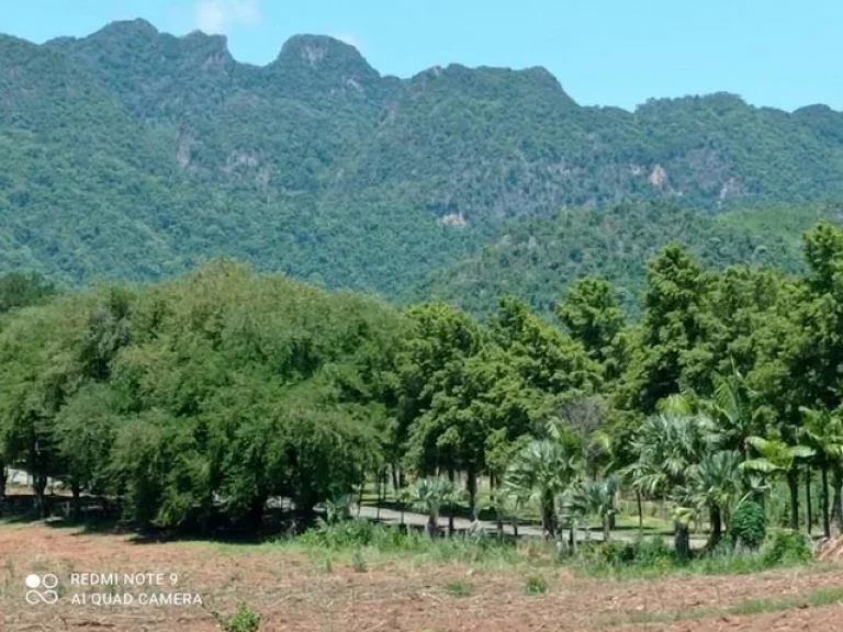 ขายที่ดินติดแม่น้ำ เหมาะสำหรับทำรีสอร์ทหรือบ้านพักตากอากาศ อำเภอไทรโยค กาญจนบุรี