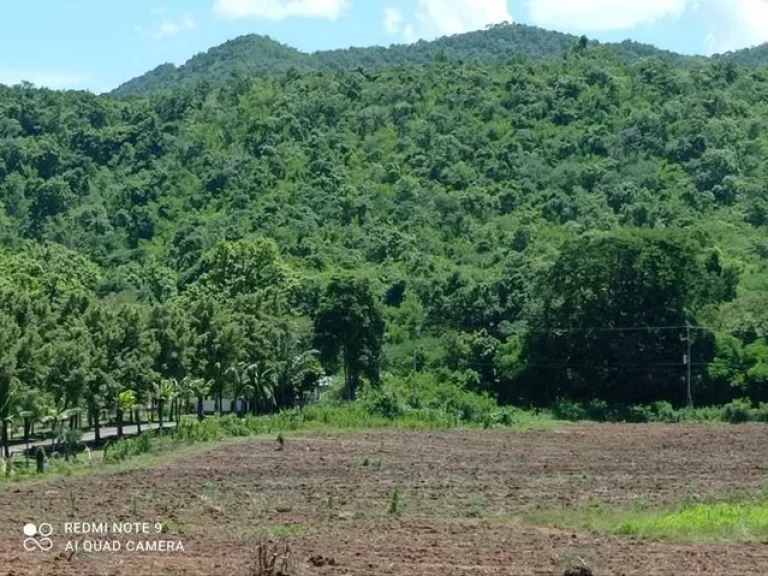 ขายที่ดินติดแม่น้ำ เหมาะสำหรับทำรีสอร์ทหรือบ้านพักตากอากาศ อำเภอไทรโยค กาญจนบุรี