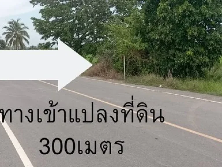 ขายถูกที่ดินเปล่าแปลงสวย 100 ตรว ห่างจากถนนเพียง 300เมตร นครนายก ใกล้วัดราษฏร์ประดิษฐ์