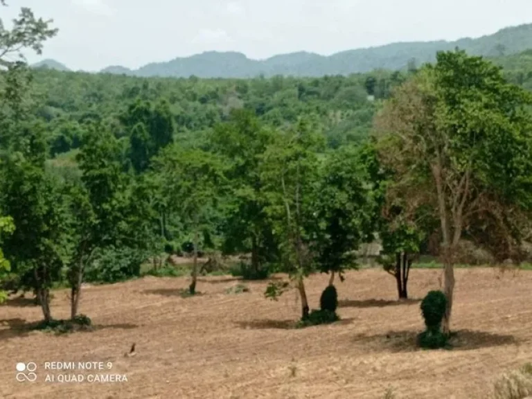 ขายที่ดินติดแม่น้ำ 115 ไร่ เหมาะสำหรับทำรีสอร์ทหรือบ้านพักตากอากาศ อำเภอไทรโยค กาญจนบุรี