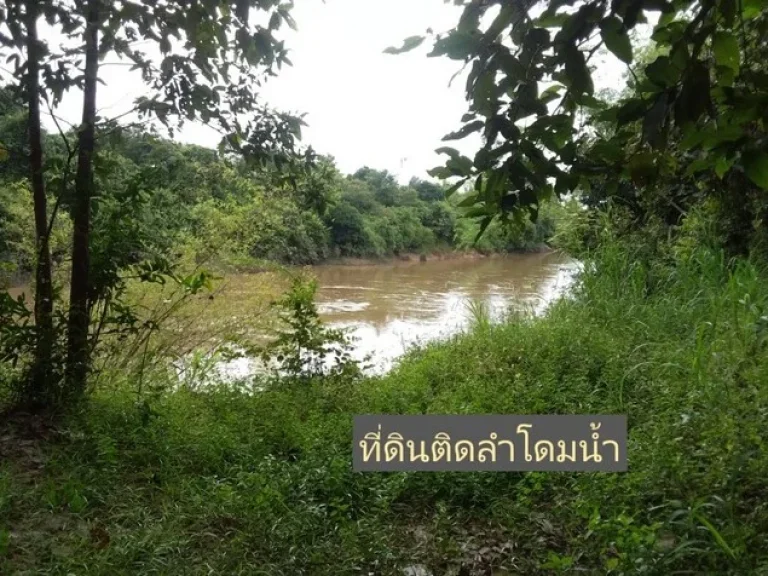 ที่ดินสวยติดลำโดมน้ำ ใกล้แหล่งท่องเที่ยวธรรมชาติ อเดชอุดม จ อุบลราชธานี ใกล้ปทลาว