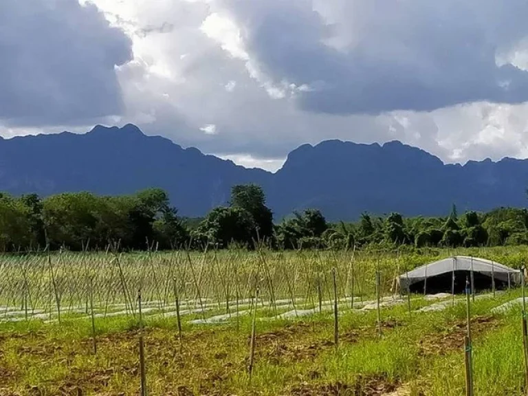 ขายที่ดินทำเลทองติดแม่น้ำ เหมาะสำหรับทำรีสอร์ทหรือบ้านพักตาก อากาศ อำเภอไทรโยค กาญจนบุรี