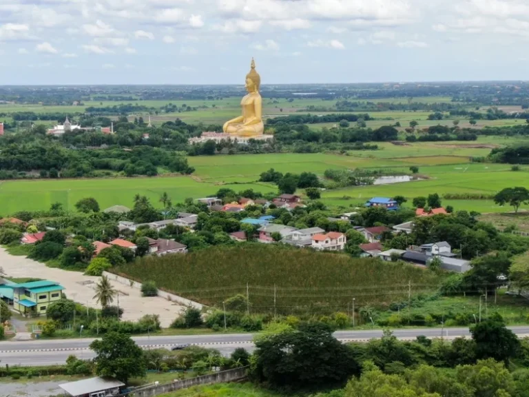 ขายที่ดิน ริมถนนทางหลวงแผ่นดินหมายเลข 3195 สายสุพรรณบุรี ใกล้วัดม่วง