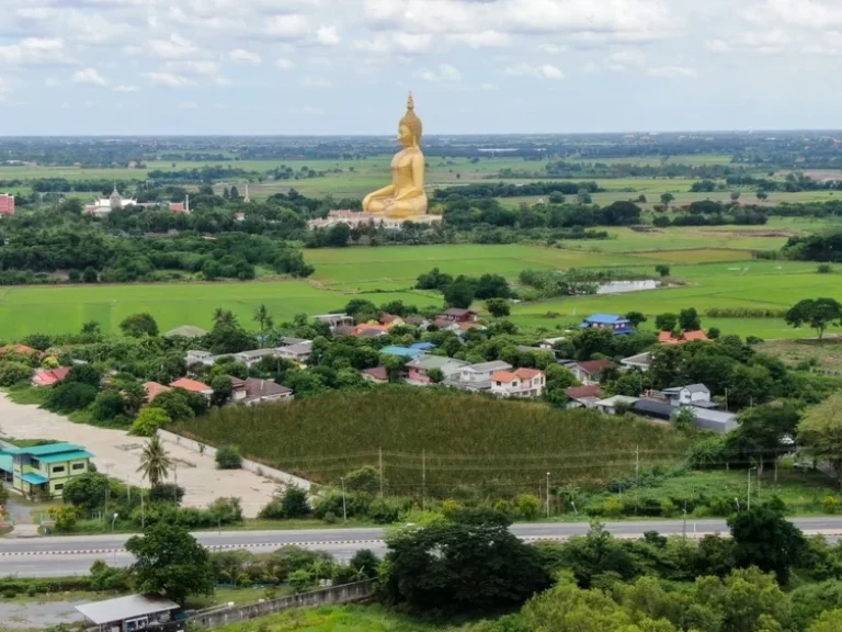 ขายที่ดิน ริมถนนทางหลวงแผ่นดินหมายเลข 3195 สายสุพรรณบุรี ใกล้วัดม่วง