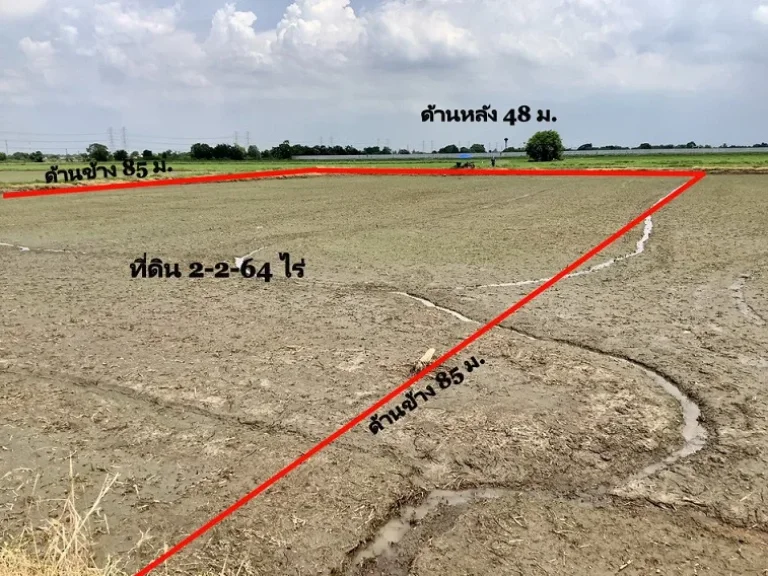 ขายที่ดิน 2-2-64 ไร่ ถนนเทศบาลลำลูกกา3 ลำลูกกาคลอง7-8 ปทุมธานี ใกล้วัดดอนใหญ่