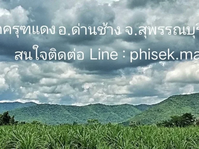 ที่ดินโฉนดวิวเขาสุดสวย360องศา เริ่มต้นไร่ละ 350000 แบ่งแปลง 2-5 ไร่ ด่านช้าง สุพรรณบุรี น้ำไฟพร้อม