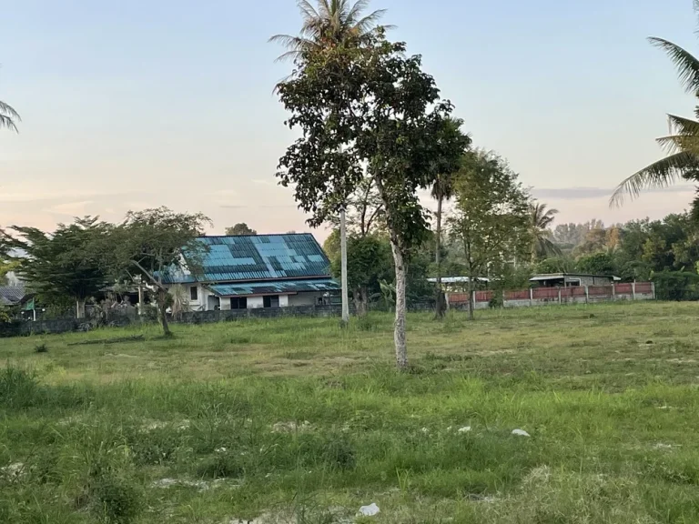 เจ้าของขายเอง ที่ดินแปลงสวย ใกล้หาดไม้ขาว จภูเก็ต ขนาด 11 ไร่ 2 งาน 43 ตรว เหมาะสำหรับจัดสรร หรือทำรีสอร์ทโรงแรม