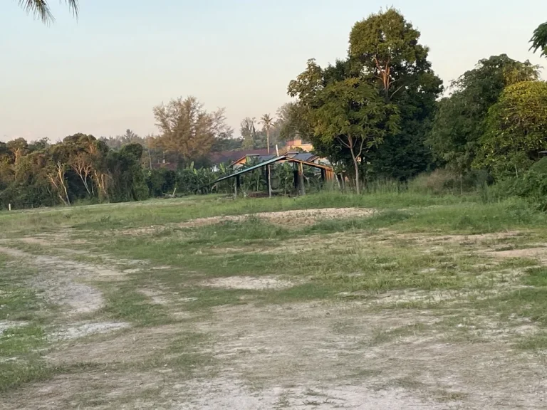 เจ้าของขายเอง ที่ดินแปลงสวย ใกล้หาดไม้ขาว จภูเก็ต ขนาด 11 ไร่ 2 งาน 43 ตรว เหมาะสำหรับจัดสรร หรือทำรีสอร์ทโรงแรม