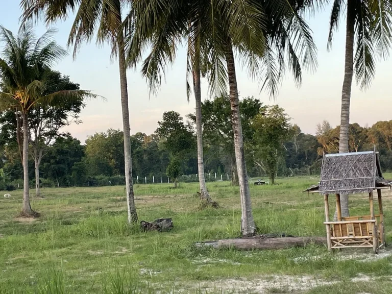 เจ้าของขายเอง ที่ดินแปลงสวย ใกล้หาดไม้ขาว จภูเก็ต ขนาด 11 ไร่ 2 งาน 43 ตรว เหมาะสำหรับจัดสรร หรือทำรีสอร์ทโรงแรม