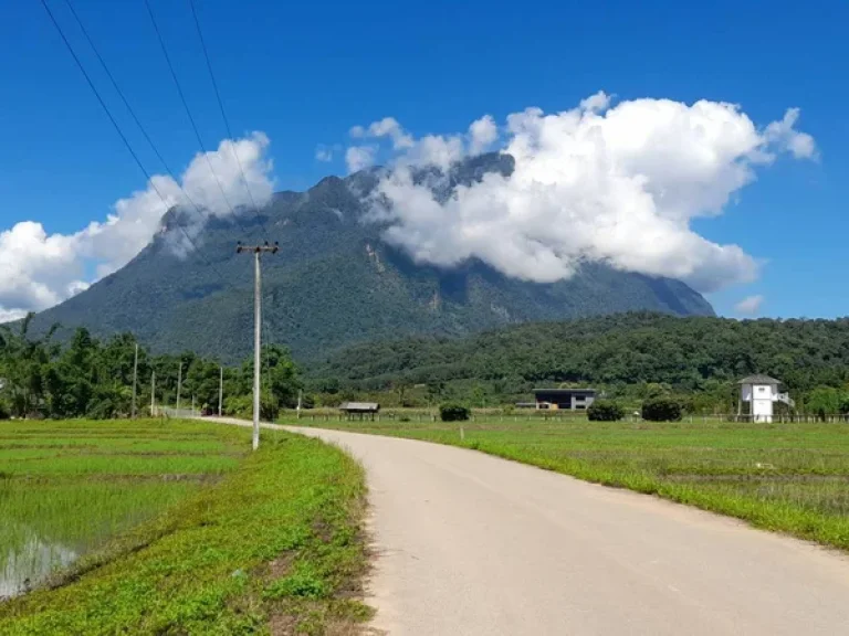 ขายที่นาเชียงดาววิวสวย100 วิวดอยหลวง ดองนาง ชัดมากเลยคะ ที่ดินมี 9ไร่ 2งาน 21วา