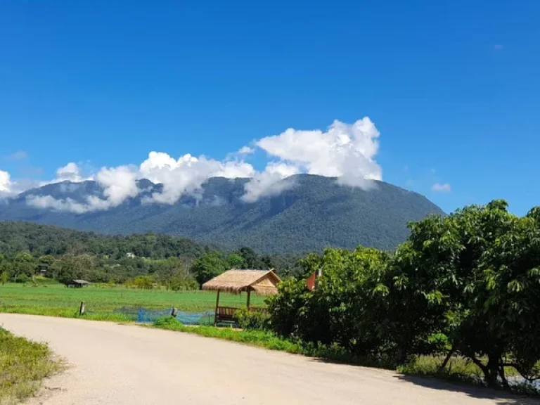 ขายที่นาเชียงดาววิวสวย100 วิวดอยหลวง ดองนาง ชัดมากเลยคะ ที่ดินมี 9ไร่ 2งาน 21วา