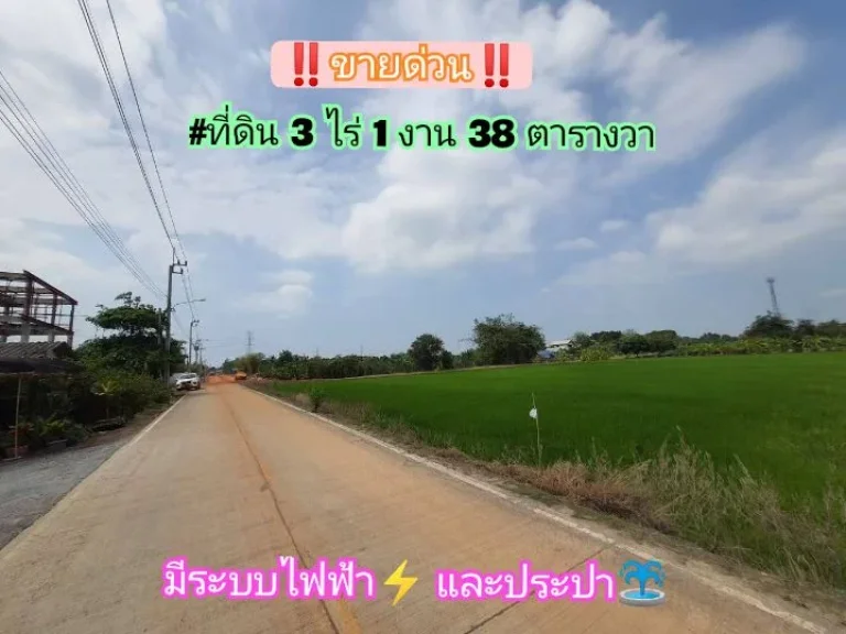 ขายด่วน ที่ดิน 3-1-38 ไร่ ปัจจุบันยังทำนาข้าว ติดถนนคอนกรีตสาธารณะ อไทรน้อย