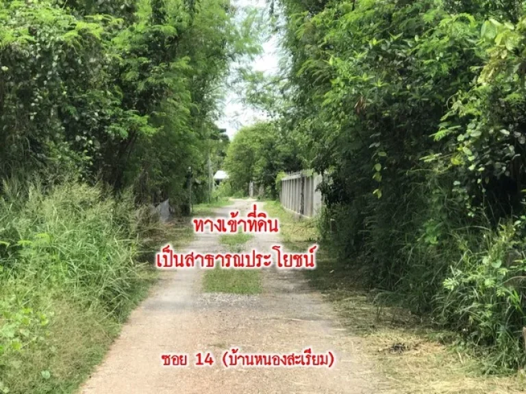 ขายที่ดิน 3 งาน 28 ตรว ตำบลยุหว่า อำเภอสันป่าตอง จเชียงใหม่