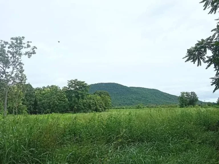 ที่ดินแปลงสวย ที่ราบริมเชิงเขา บรรยากาศดี ราคาถูก อุตรดิตถ์