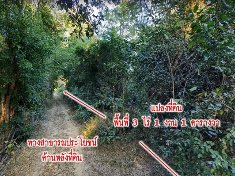 ขายที่ดิน 3ไร่ 1งาน ตำบลยุหว่า อำเภอสันป่าตอง จเชียงใหม่