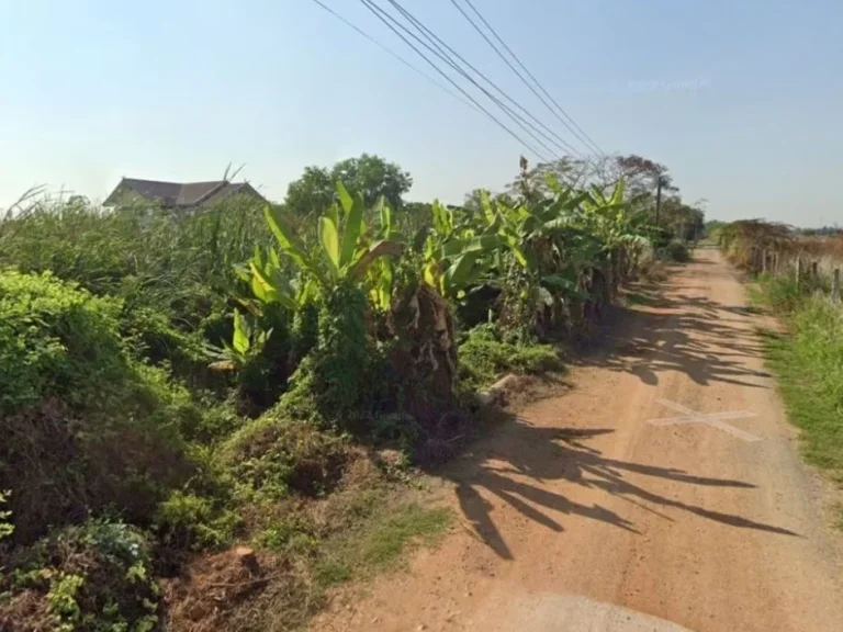 ขาย ที่ดินเปล่า 267 ตรว แนวถนนราชพฤกษ์ ซอยเลียบคลองบางโพธิ์เหนือ หลังแม็คโครปทุมธานี