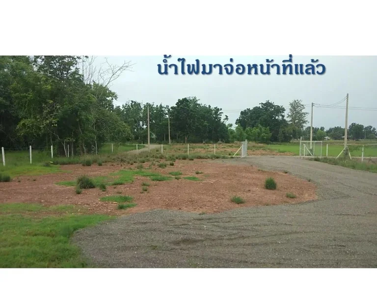 ปิดการขาย ที่ดินจอมบึง จราชบุรี เนื้อที่ 1 ไร่ ราคา 579000 บ น้ำไฟพร้อม โฉนดครุฑแดง