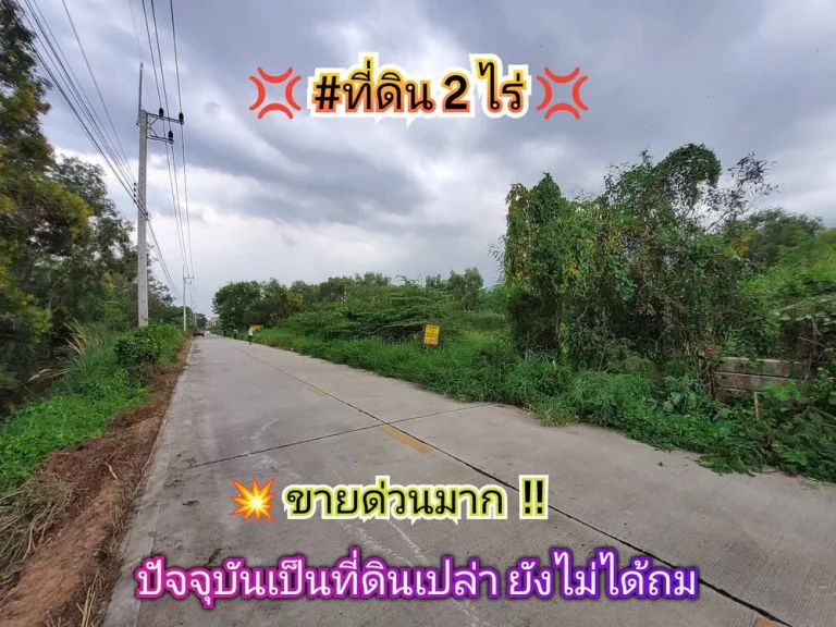 ขายด่วนมาก ที่ดินคลองห้า 2 ไร่ ติดถนนคอนกรีตสาธารณะ ซคลองห้าตะวันออก 28 อคลองหลวง