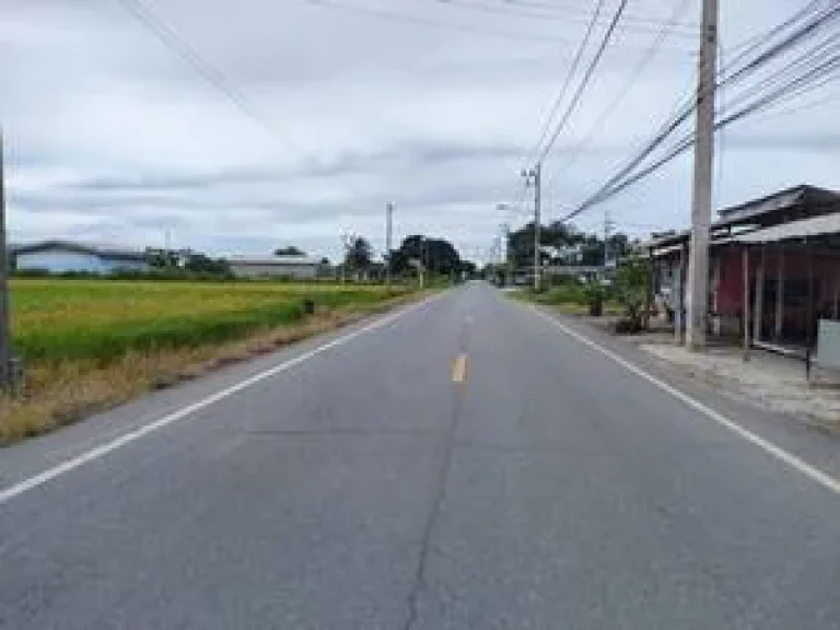 ขายที่ดินเปล่าติดถนนคลอง 9 ลำลูกกา จังหวัดปทุมธานี