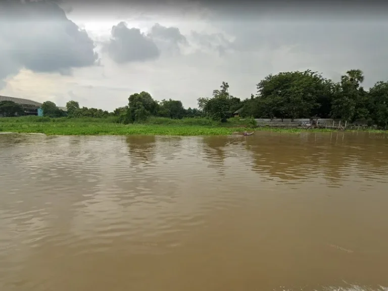 ขายที่ดินติดแม่น้ำเจ้าพระยา อสามโคก จปทุมธานี เนื้อที่ 7-3-17 ไร่