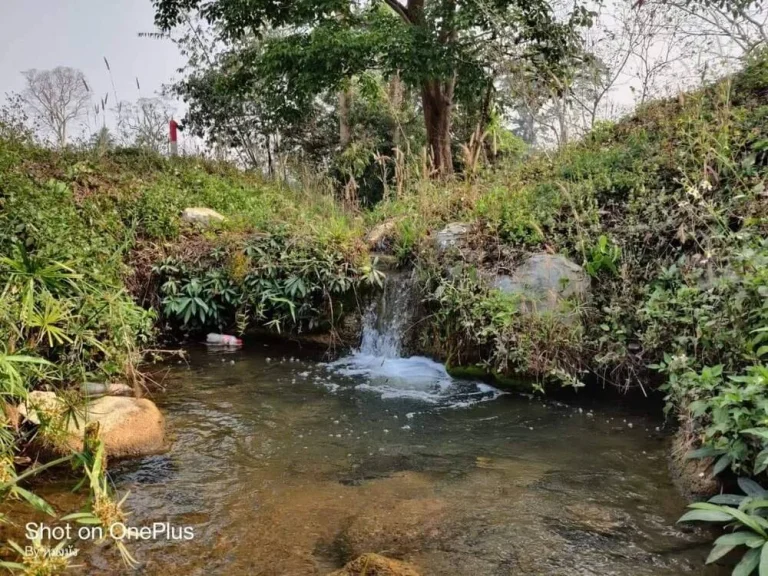 ขายถูกมาก ที่ดินทำเลสวย บรรยากาศดี ติดน้ำเหมืองสาธารณะ อแม่สอด จตาก ใกล้ถนนแม่สอด-ตาก เพียง 1 นาที