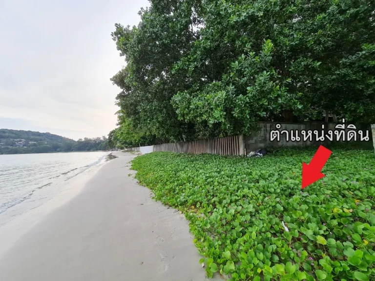 ขายที่ดินริมทะเลวิวสวย PRIVATE ZONE กลางอ่าวเจริญ อำเภอแกลง จังหวัดระยอง