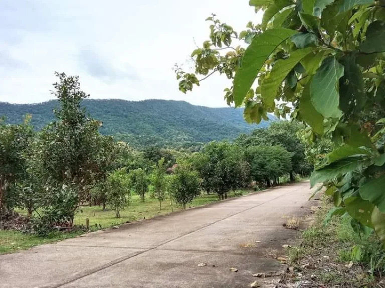 ที่ดินแปลงสวย วิวสวย โฉนด ติดถนนใกล้ถนนสายหลัก อุตรดิตถ์