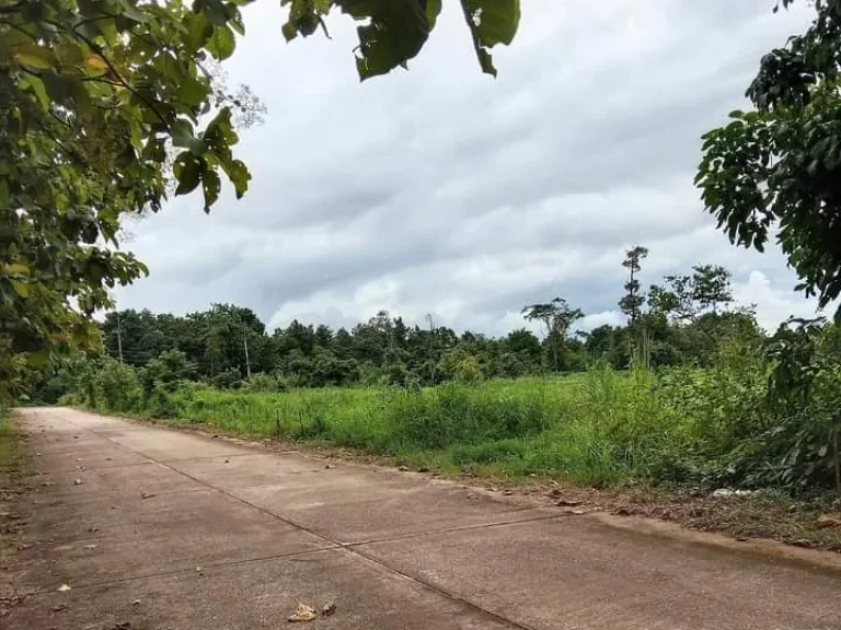 ที่ดินแปลงสวย วิวสวย โฉนด ติดถนนใกล้ถนนสายหลัก อุตรดิตถ์