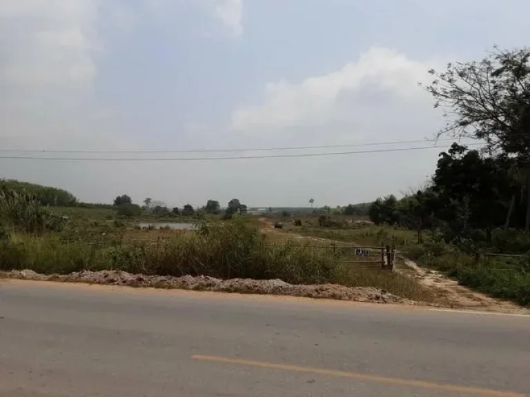 Land For Sale ที่ดิน 28 ไร่ ซอย4 สาย13 ใกล้ถนนทางหลวงหมายเลข36 นิคมพัฒนา ระยอง