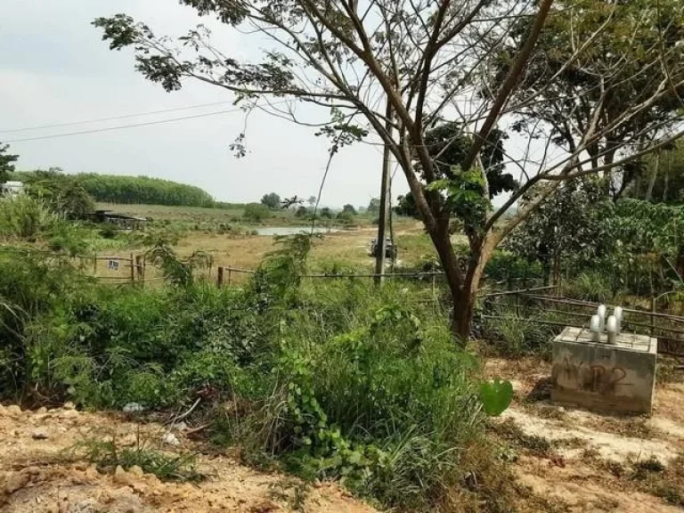 Land For Sale ที่ดิน 28 ไร่ ซอย4 สาย13 ใกล้ถนนทางหลวงหมายเลข36 นิคมพัฒนา ระยอง