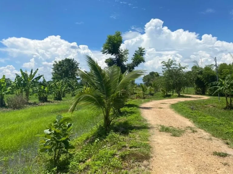 ที่สวนล้อมรอบด้วยทุ่งนา ลำธารและขุนเขา เชียงใหม่ บ้าน ป่าสักหลวง ตำบล สำราญราษฎร์ อำเภอ ดอยสะเก็ด จังหวัด เชียงใหม่