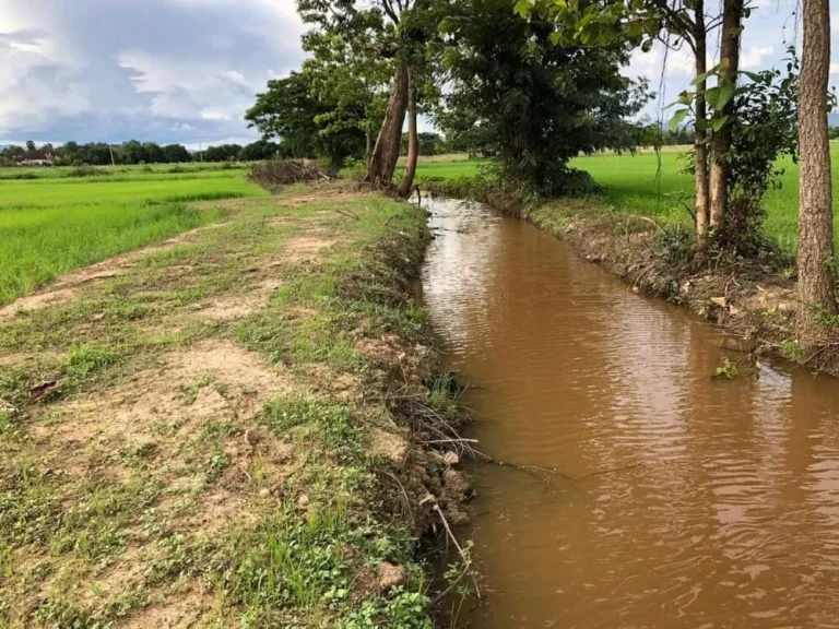 ที่สวนล้อมรอบด้วยทุ่งนา ลำธารและขุนเขา เชียงใหม่ บ้าน ป่าสักหลวง ตำบล สำราญราษฎร์ อำเภอ ดอยสะเก็ด จังหวัด เชียงใหม่