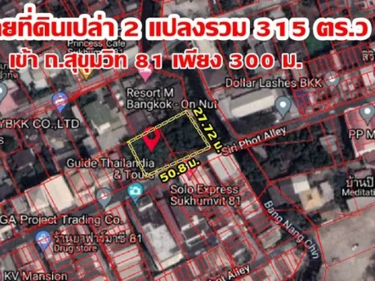 พื้นที่ดิน ที่ดินเปล่า สุขุมวิท 81 พระโขนง กทม 315 ตรว 120000000 BAHT ใกล้ BTS อ่อนนุช ทำเลดีเยี่ยมๆ กรุงเทพ