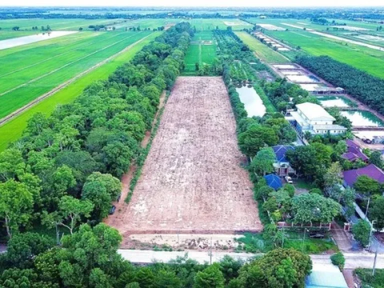 Land For Sale ที่ดินจัดสรร 9 แปลง ที่ถมแล้ว ติดถนนเลียบคลอง12 ใกล้สนามกอล์ฟลำลูกกาคันทรี่คลับ