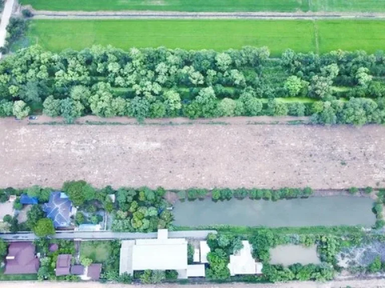 Land For Sale ที่ดินจัดสรร 9 แปลง ที่ถมแล้ว ติดถนนเลียบคลอง12 ใกล้สนามกอล์ฟลำลูกกาคันทรี่คลับ