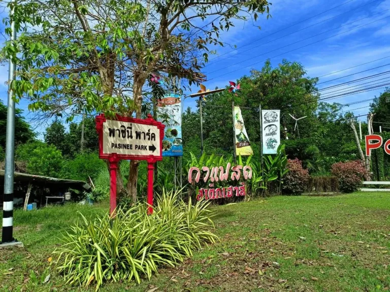 ขายร้านอาหารร้านกาแฟ จุดลานกางเต็นท์ พร้อมอุปกรณ์ ตำบลบ้านคา อำเภอบ้านคา จังหวัดราชบุรี บนเนื้อที่ 14 ไร่ 1งาน 40 ตารางวา ราคา 1000000 บาท