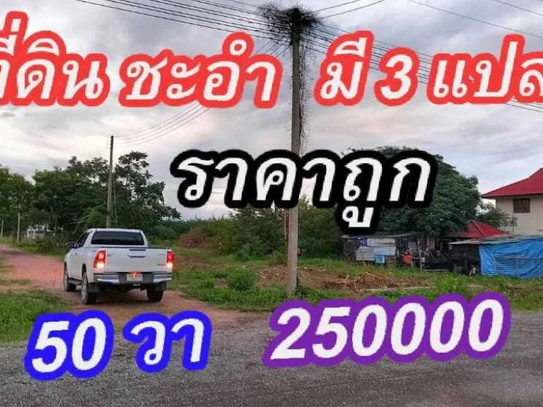 ขายที่ดินราคาถูก ชะอำ เพชรบุรี 250000 บาท 50ตรว