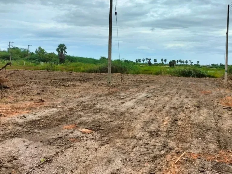 ขายที่ดินในตำบลบางเก่า อำเภอชะอำ เพชรบุรีเนื้อที่50ตรว