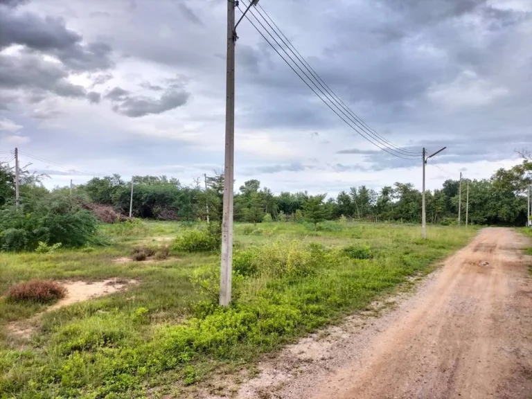 ขายที่ดินในตำบลบางเก่า อำเภอชะอำ เพชรบุรีเนื้อที่50ตรว