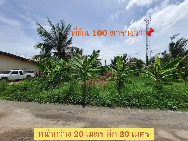 ขายที่ดินสร้างบ้านสวน 100 ตารางวา ติดถนนสาธารณะ ซอยโรงเรียนบ้านคลองฝรั่ง อไทรน้อย