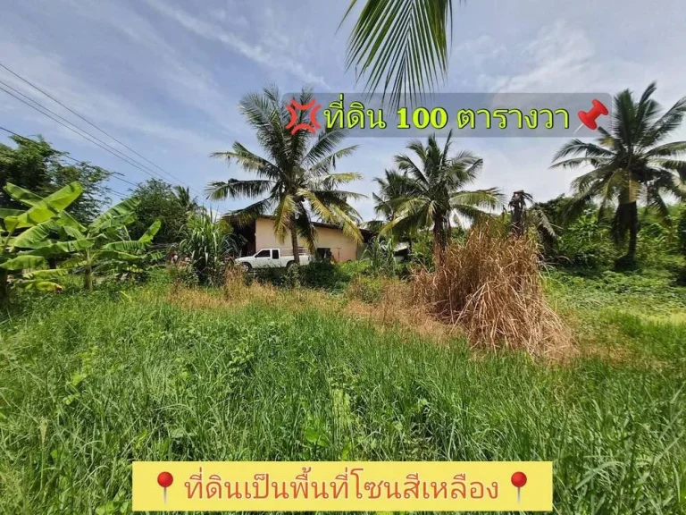 ขายที่ดินสร้างบ้านสวน 100 ตารางวา ติดถนนสาธารณะ ซอยโรงเรียนบ้านคลองฝรั่ง อไทรน้อย