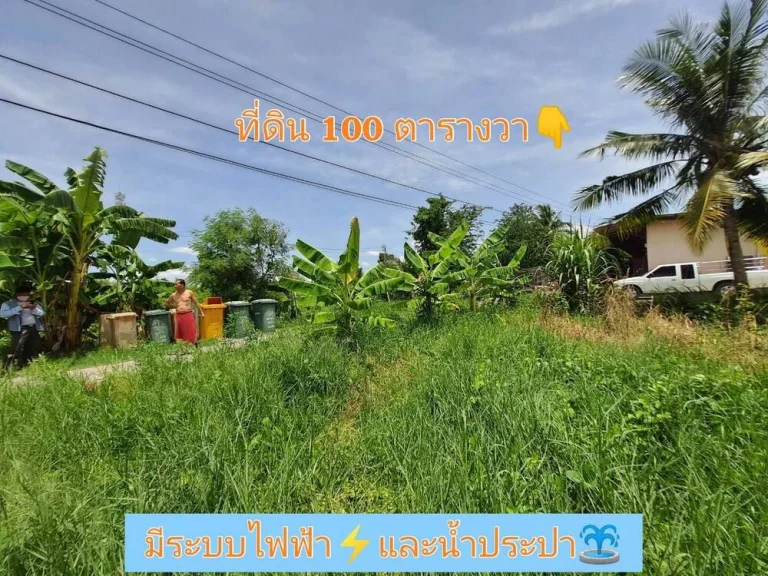 ขายที่ดินสร้างบ้านสวน 100 ตารางวา ติดถนนสาธารณะ ซอยโรงเรียนบ้านคลองฝรั่ง อไทรน้อย