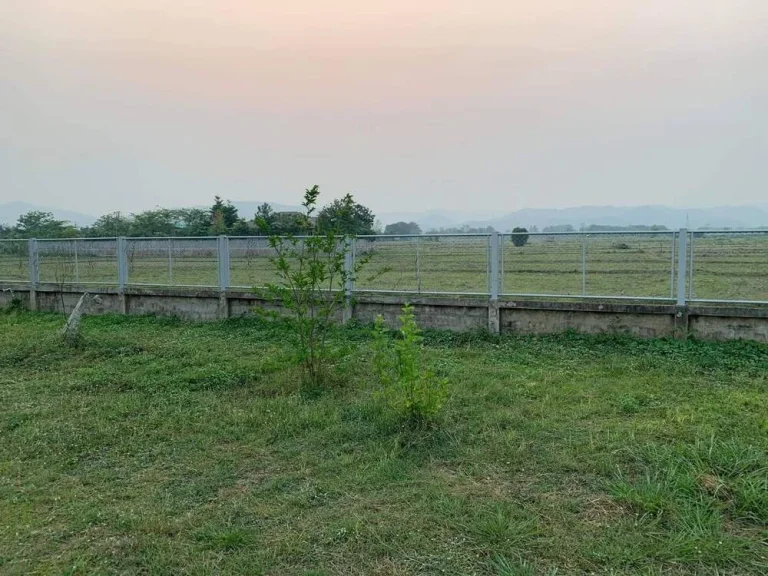 ขายถูกที่สุดในย่านนี้ ที่ดินสวย บรรยากาศดี วิวภูเขาสวย อเมือง จแพร่ มีรั้วคอนกรีตล้อมรอบ4ด้าน มีน้ำประปา ไฟฟ้า