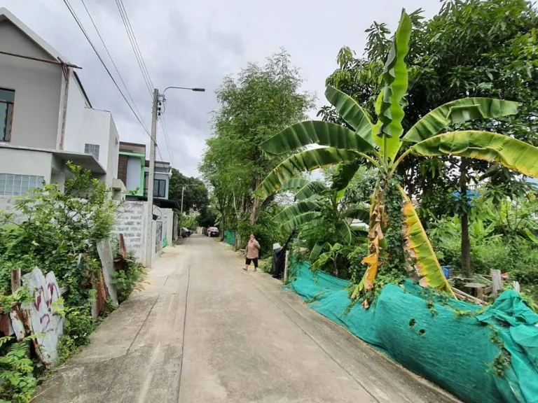 ขายที่ดิน ใกล้สนามบินน้ำ ซอยนนทบุรี 42 ถนนนนทบุรี อำเภอเมือง นนทบุรี