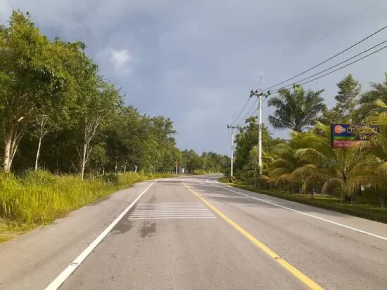 ขายที่ดินเปล่าบนเนินเขาใกล้หาดทุ่งวัวแล่นชุมพร ตำบล สะพลี อำเภอปะทิว ชุมพร