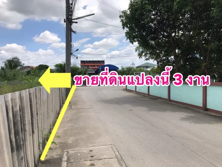 ขายที่ดินสมุทรสาคร บางหญ้าแพรก ขนาด 3 งาน ตัดแบ่งจาก 1 ไร่ ถมแล้ว ติดถนนสาธารณะสองด้าน