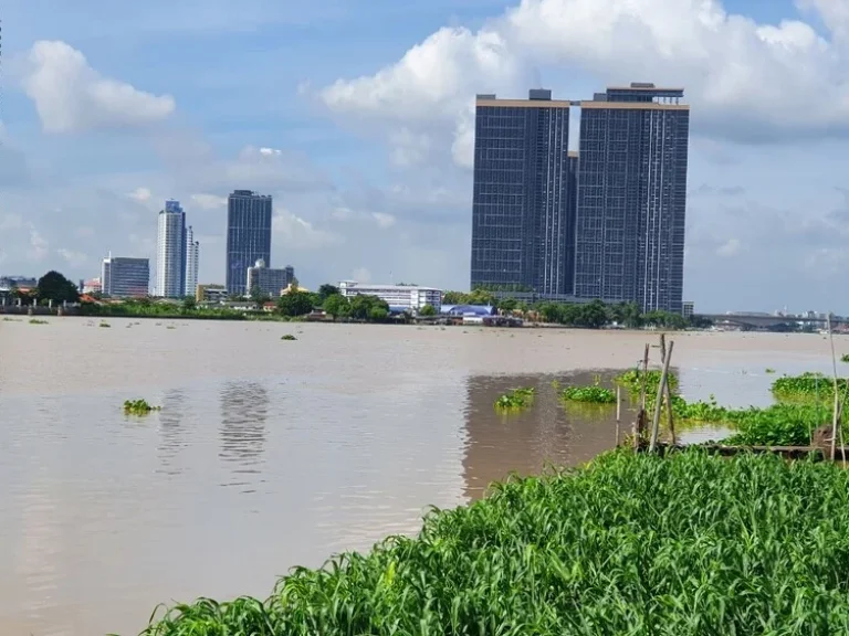 ขาย ที่ดิน 1220 วา ติดแม่น้ำเจ้าพระยา ตรงข้ามกระทรวงพาณิชย์ นนทบุรี