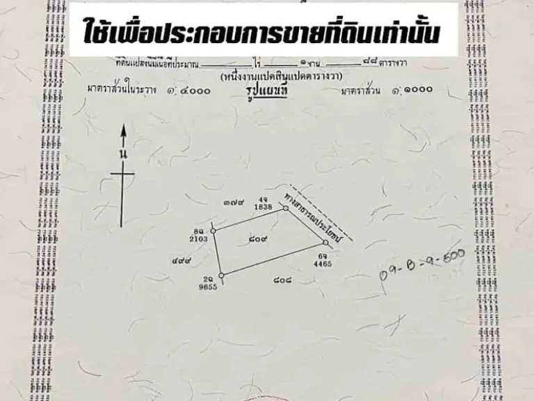 ขายถูกมาก ที่ดินถมแล้ว แถมบ้านเช่า ทำเลดี อเมืองพิษณุโลก ใกล้เซ็นทรัลเพียง 5 นาที น้ำ ไฟพร้อม ฟรีโอน